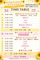 あいみんフェスVol.9 ファイナル 〜アイドル10周年&19th生誕祭〜 フライヤー